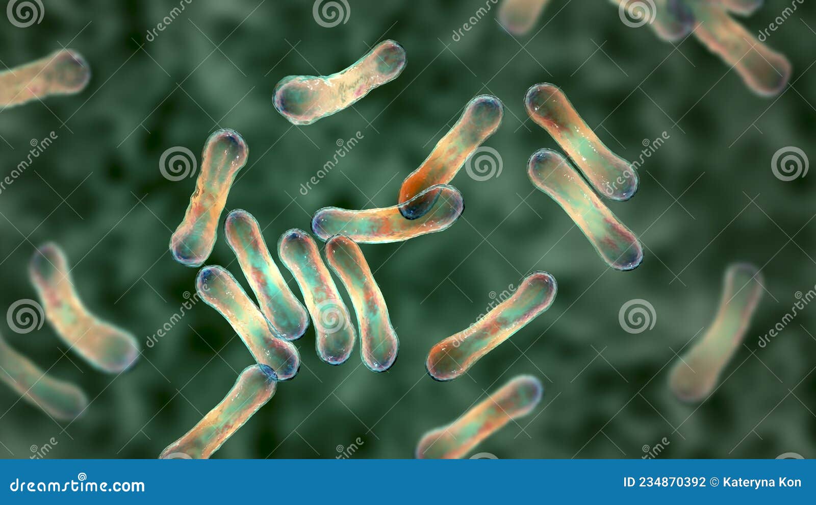 Corynebacterium Bacteria, Grampositive Rodshaped Bacterium that