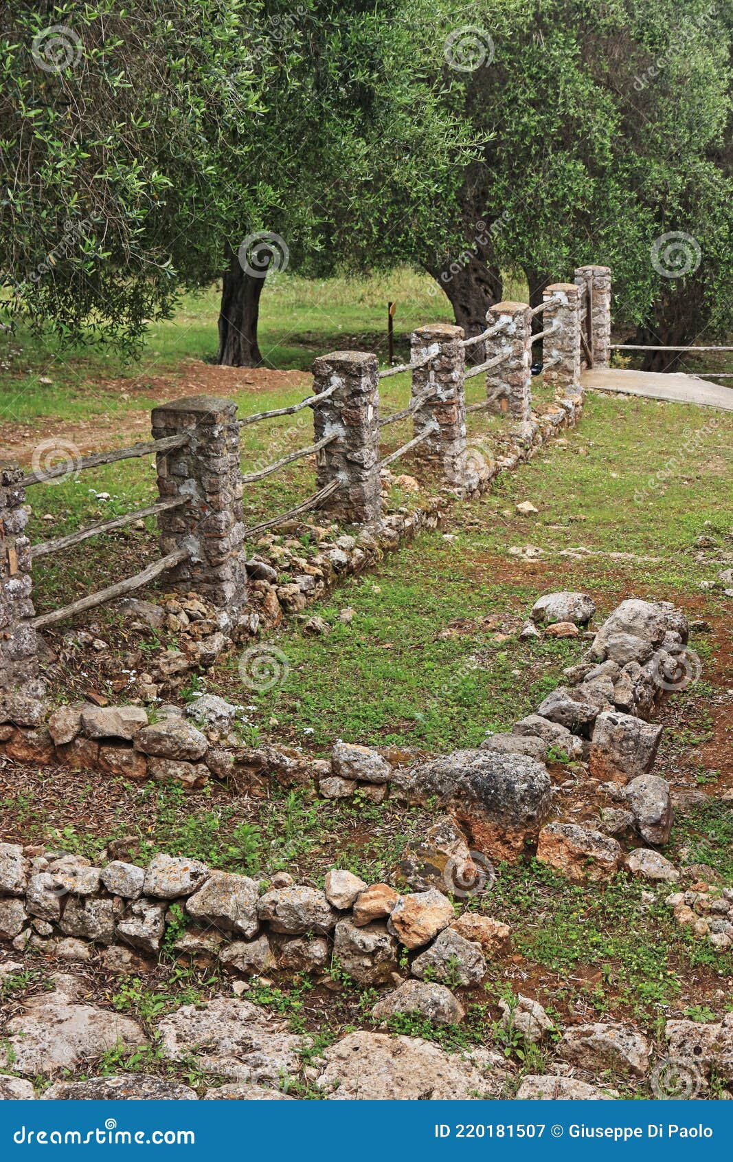 the ruins of the ancient city of cosa in central italy