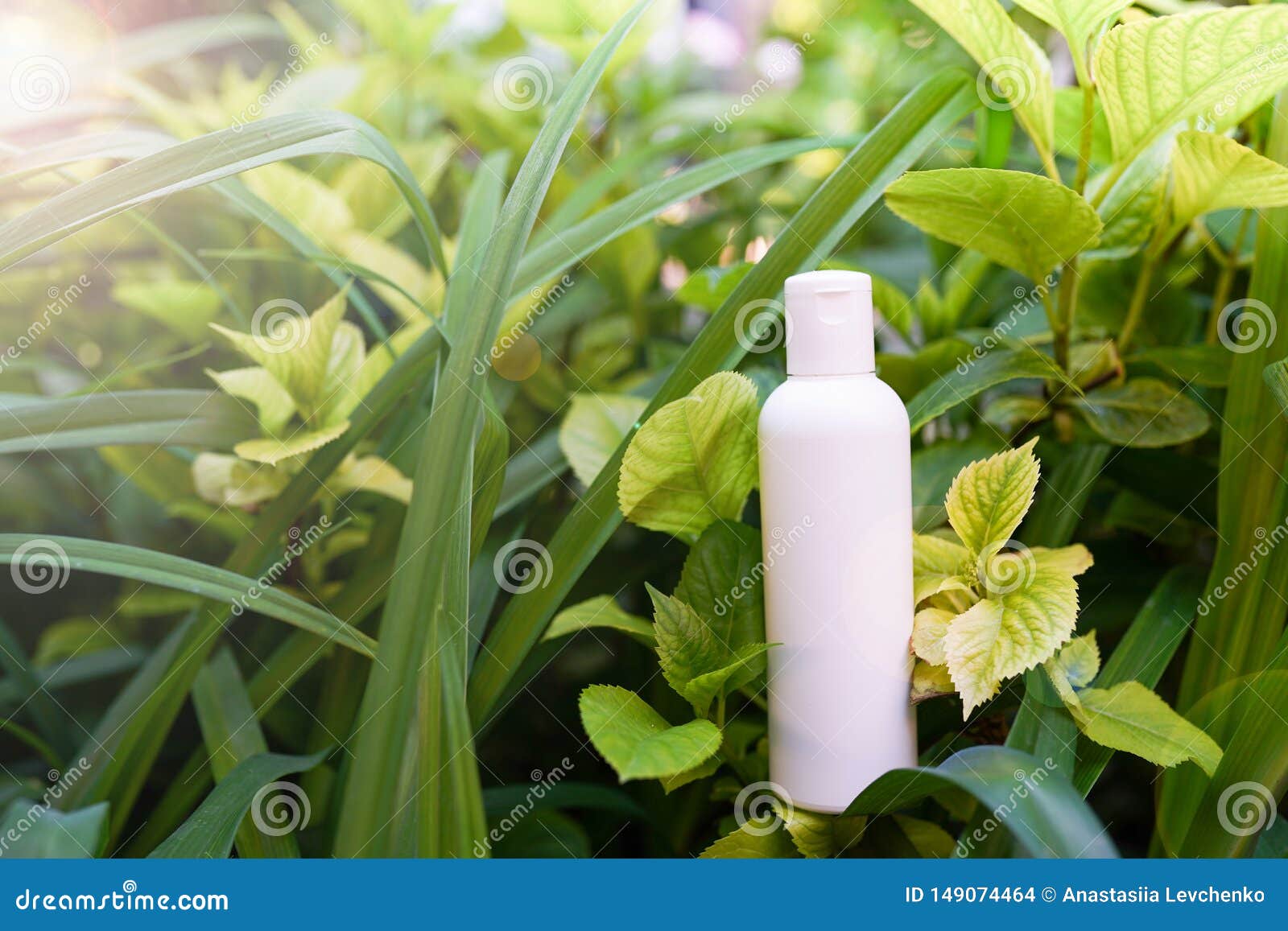 Download Cosmetic Bottle On Nature Background With Green Herbal ...