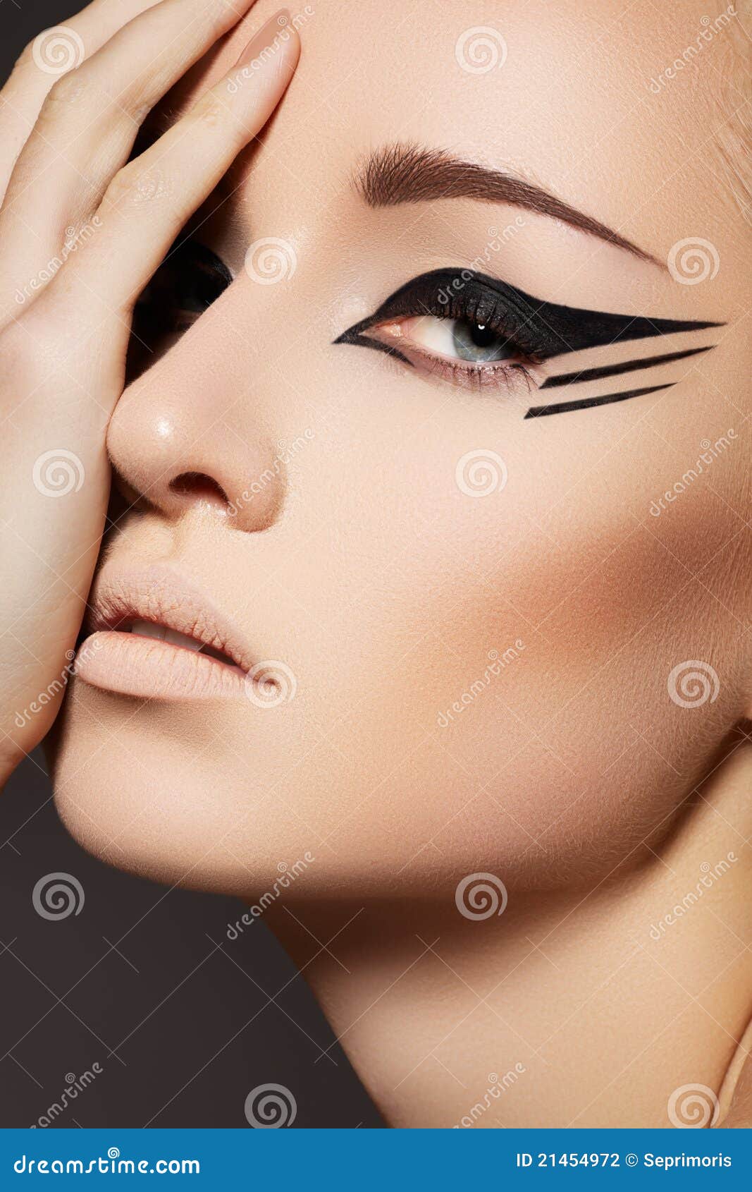 Cosmetics & Make-Up. Fashion Model Face, Eye Liner Stock Photo - Image Of  Eyesight, Eyes: 21454972