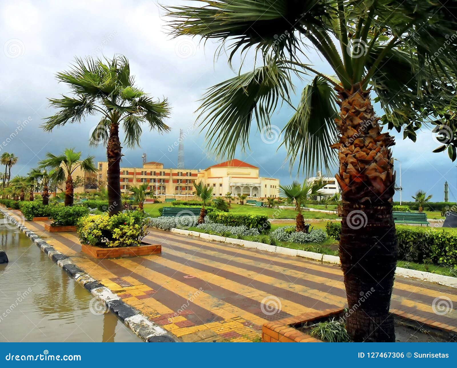 Costa De Egito De Alexandria, Tempestade No Mar Foto de Stock Imagem