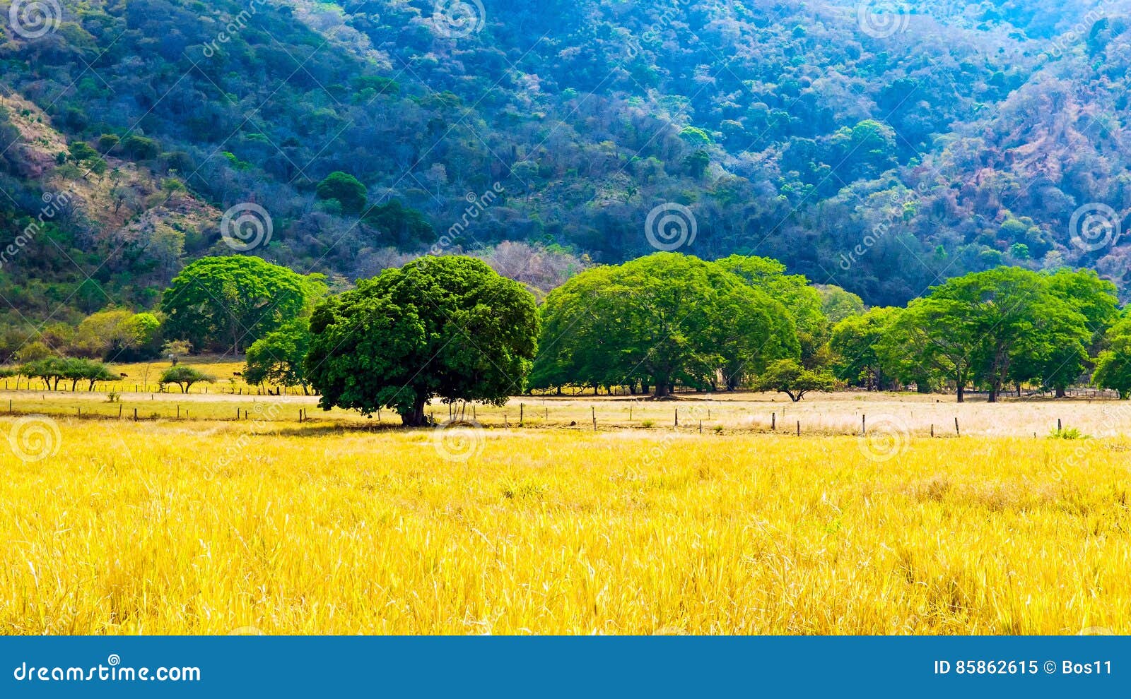 Costa Rica Paisaje Cultural Imagen De Archivo Imagen De Rica Costa