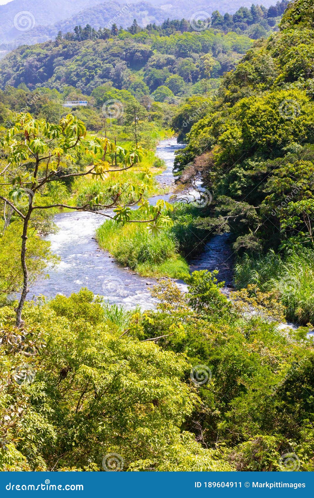 costa rica sucio river in a stretch of tropical jungle