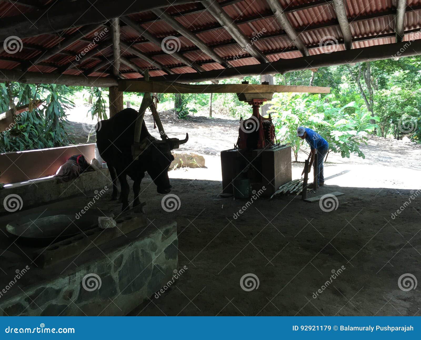 Costa Rican Farm pequeno imagem de stock editorial. Imagem de nowadays