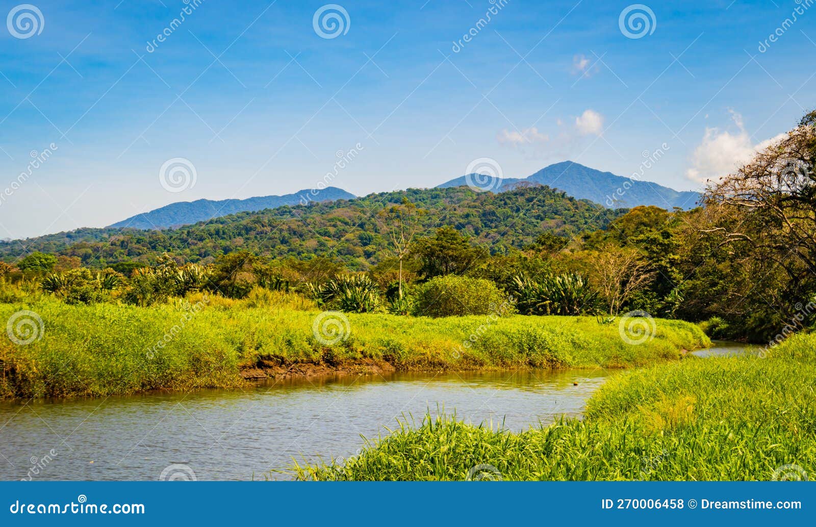 Costa Rican landscape stock photo. Image of green, river 270006458