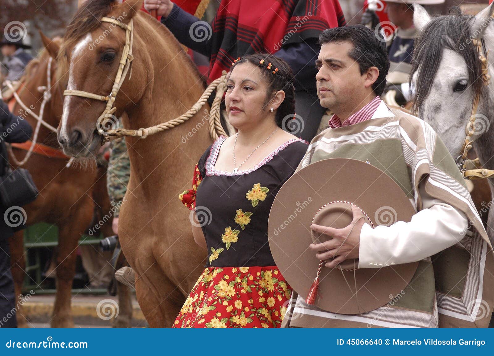 Costume typique Chili image éditorial. Image du chilien 45066640