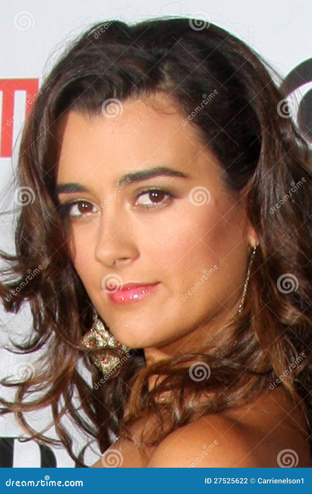 Cote De Pablo Hot