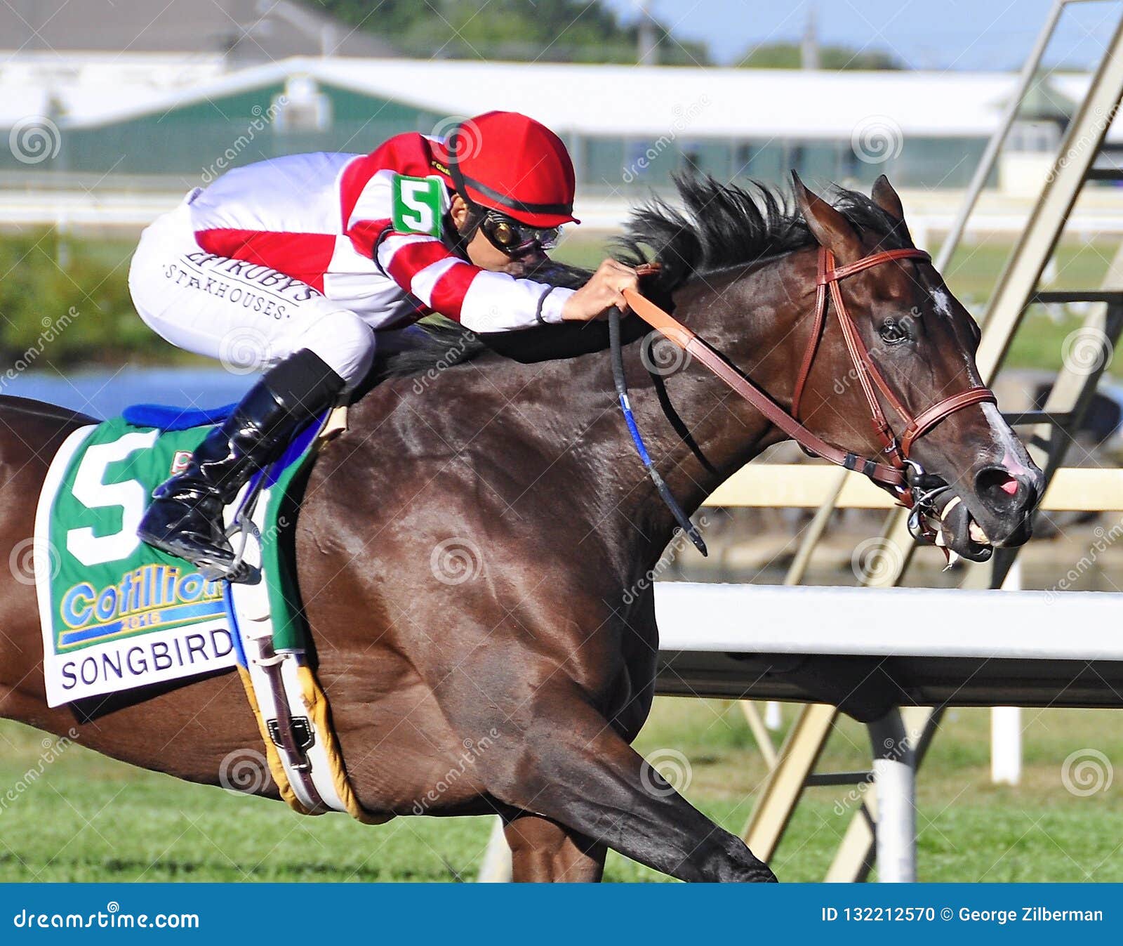 The Cotillion Stakes Winner Songbird Editorial Image Image of silks