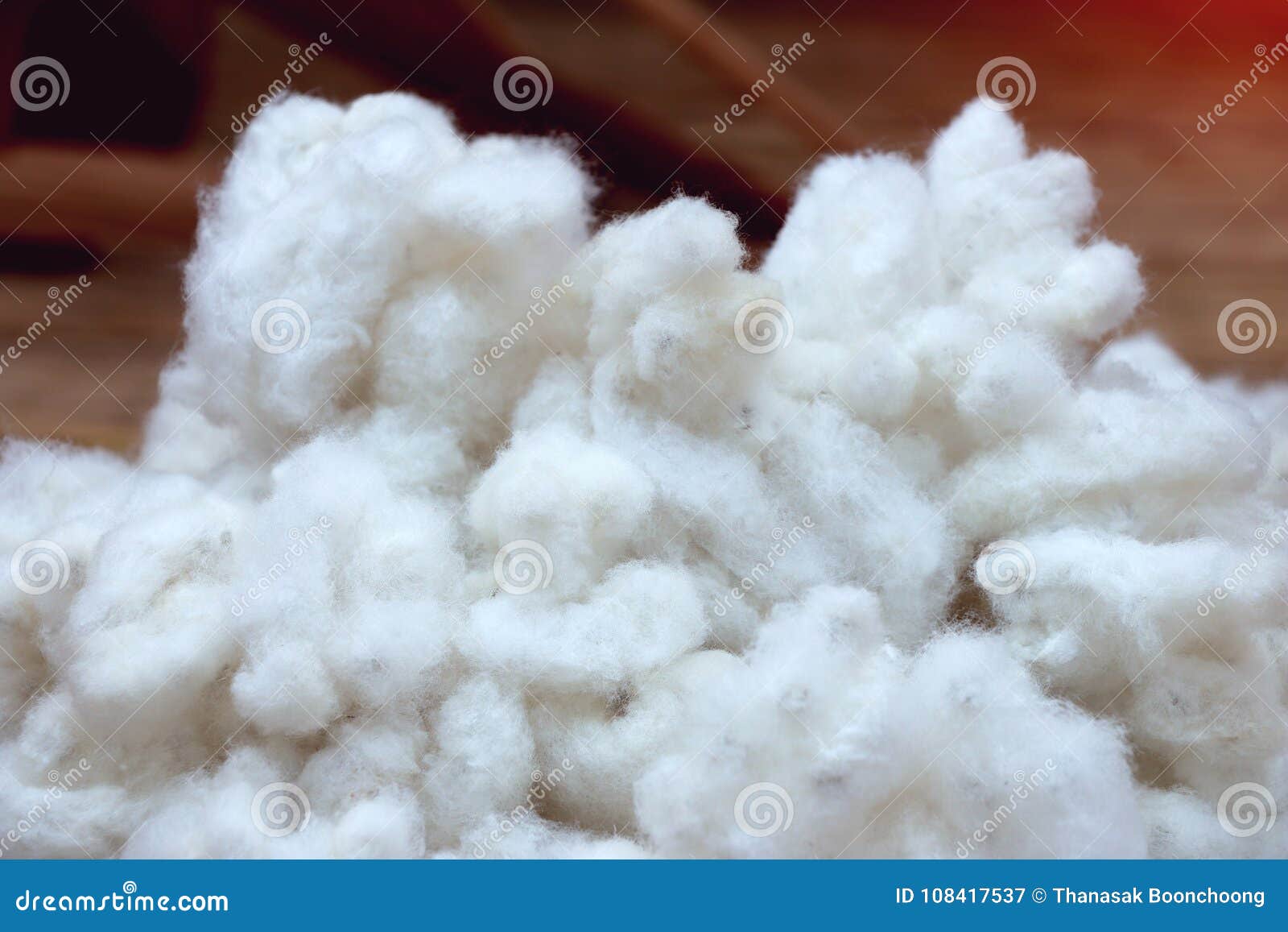 Cotone Bianco Usato Come Fibra Tessile Immagine Stock Immagine Di Maturo Campo 108417537