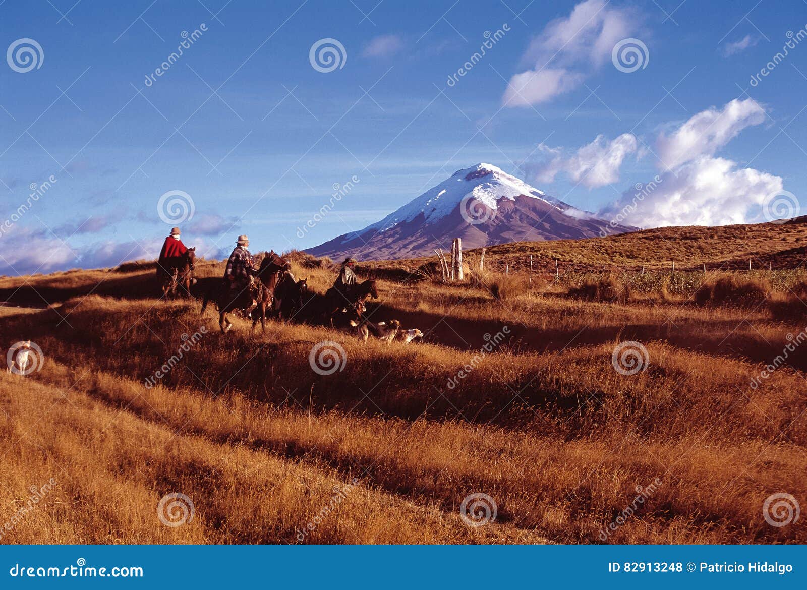 Cotopaxi redaktionelles stockfoto. Bild von höhe, gipfel - 82913248