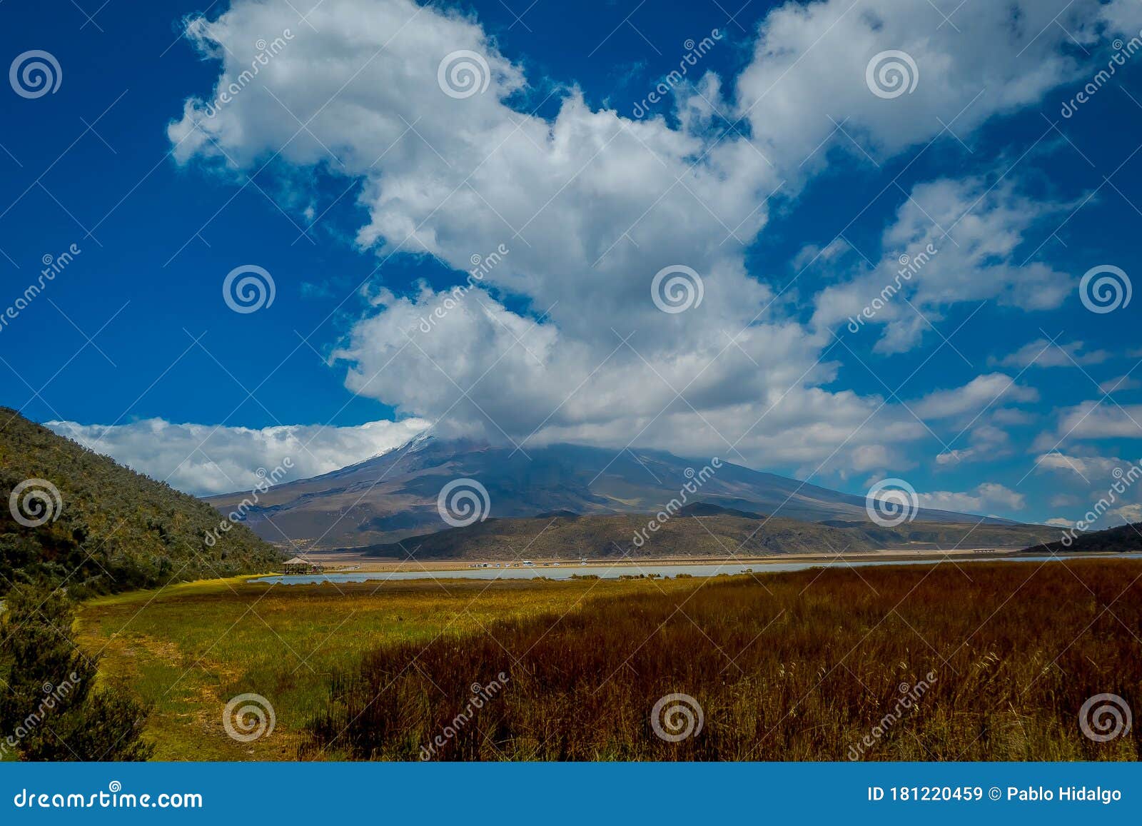 Cotopaxi National Park, Ecuador Home To the Cotopaxi Volcano Stock ...