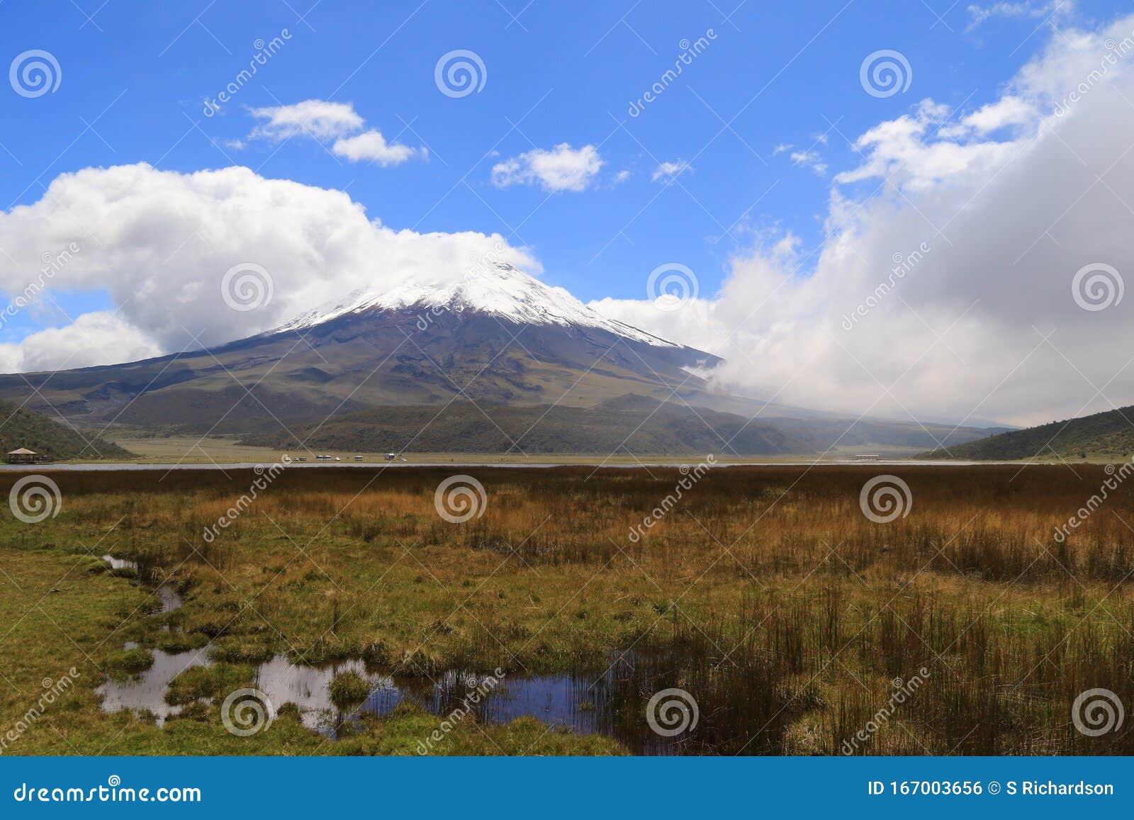 Cotopaxi Snow Covered Peak and Meadows Stock Photo - Image of cotopaxi ...