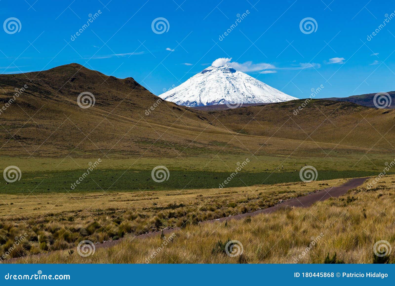 Cotopaxi Volcano, Beautiful Snowy Mountain Stock Photo - Image of ...