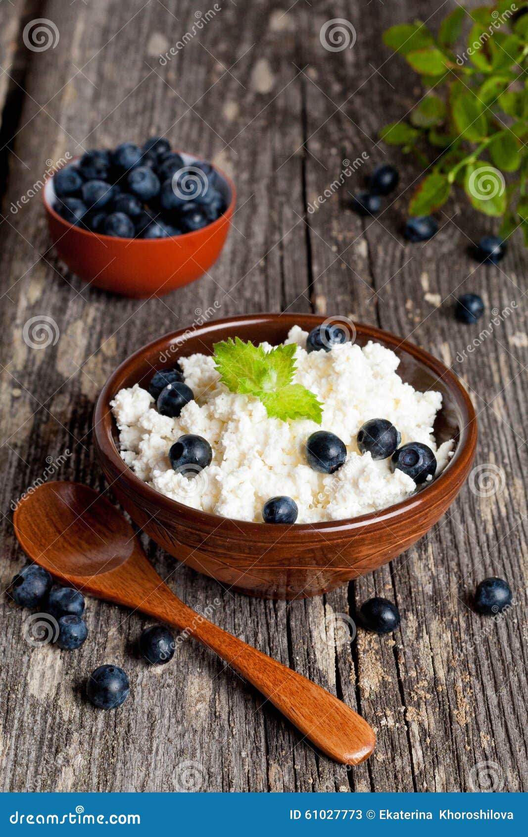 Cottage Cheese with Blueberry and Mint for Breakfast Stock Image