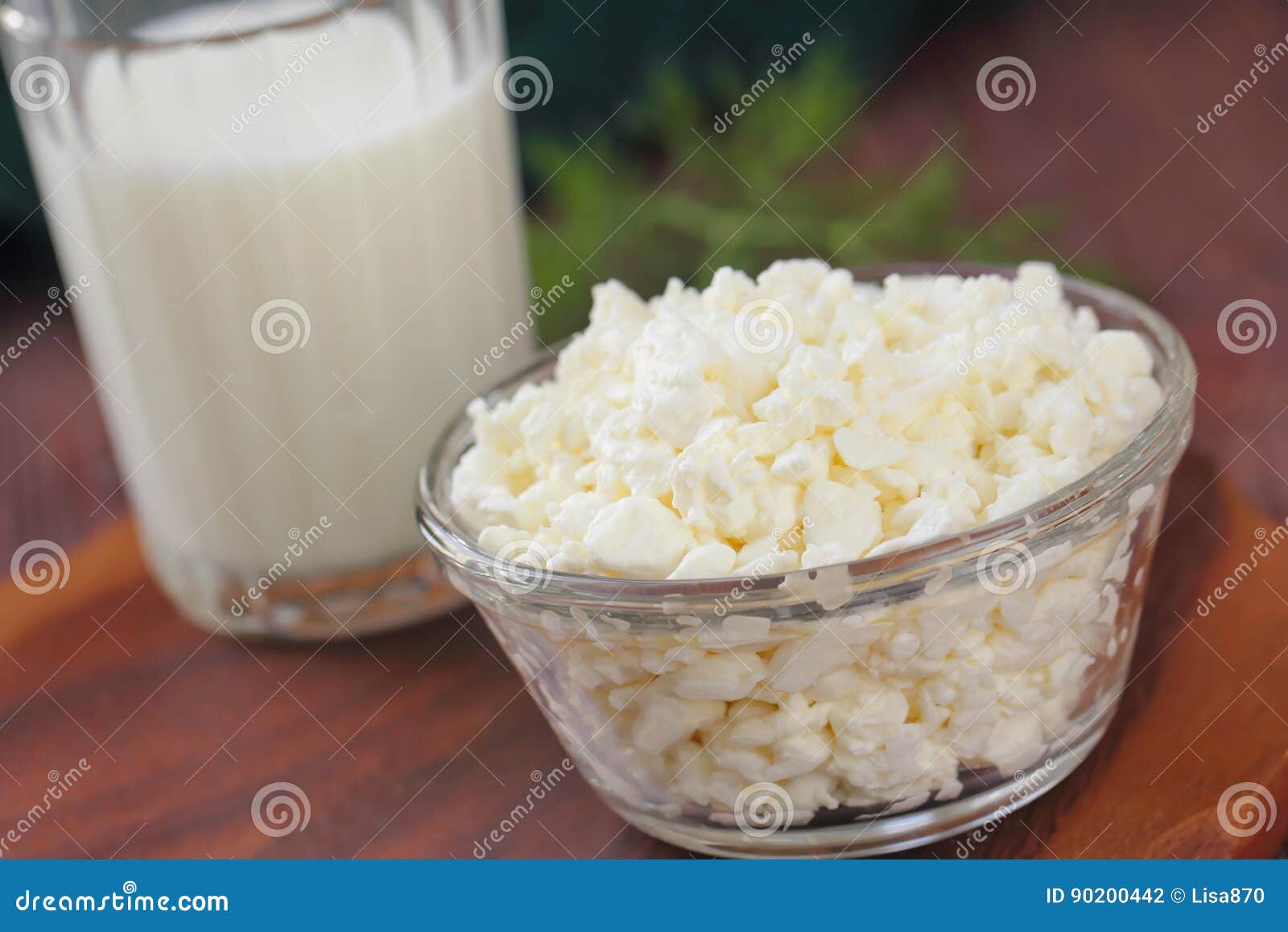 Cottage cheese in a bowl stock photo. Image of meal, morning 90200442