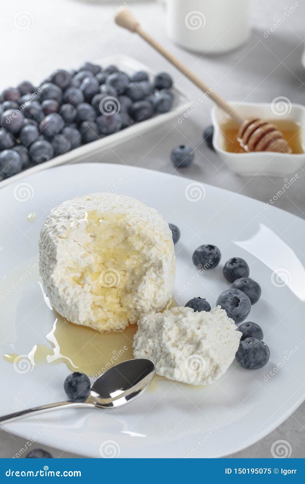Cottage Cheese with Honey and Blueberry Stock Image Image of gourmet