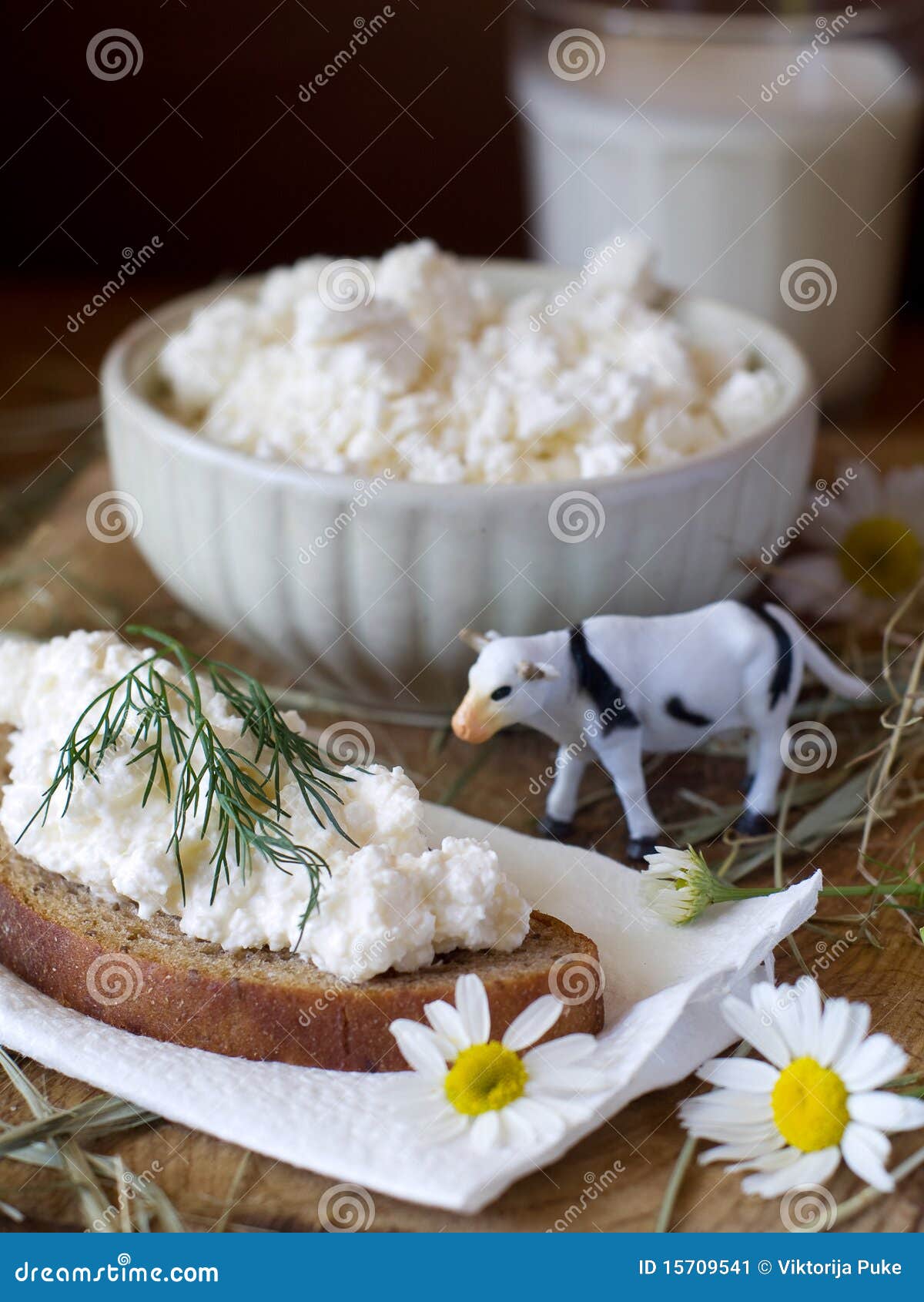 Cottage cheese and milk stock image. Image of brown, meal 15709541