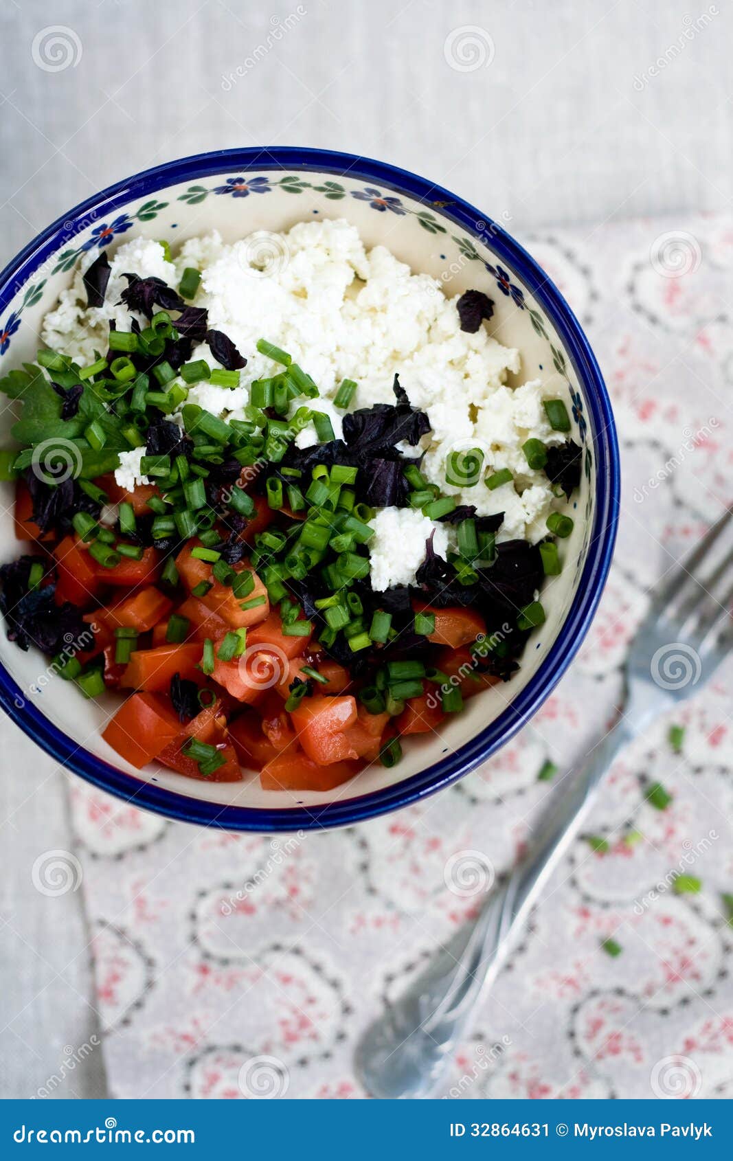 Cottage Cheese and Tomatoes Stock Image Image of weight, cloth 32864631