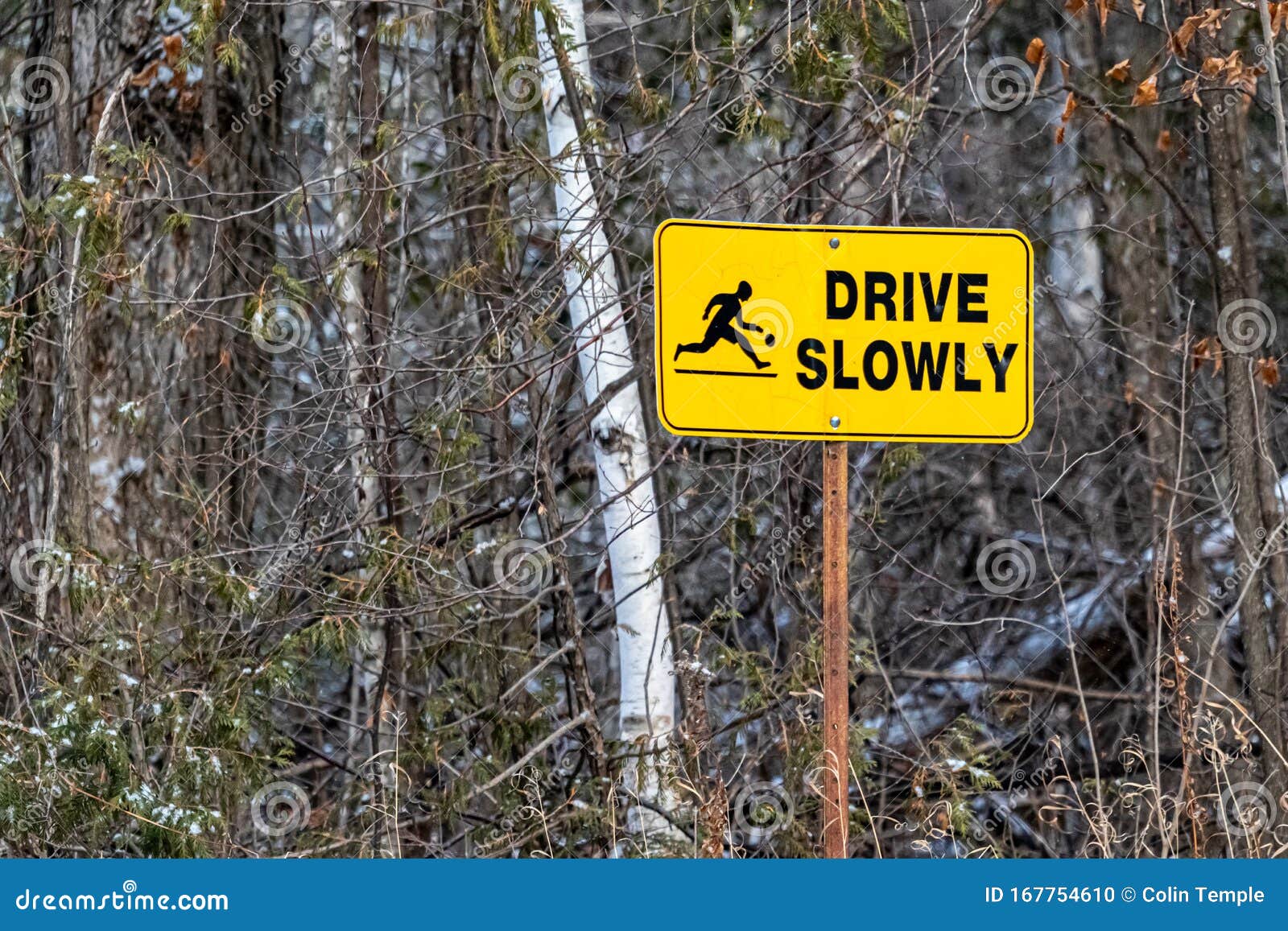 cottage country road sign warns