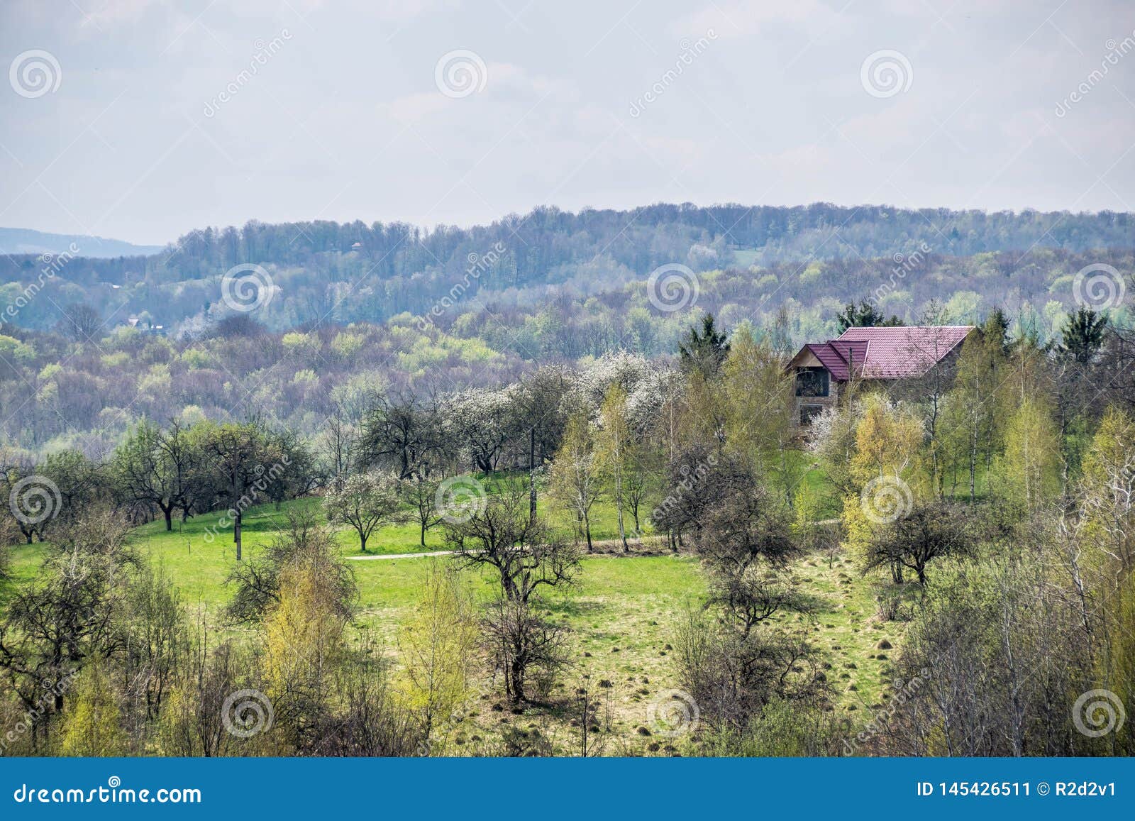 Cottage In The Forest. Awakening Of Nature In Spring Stock Image