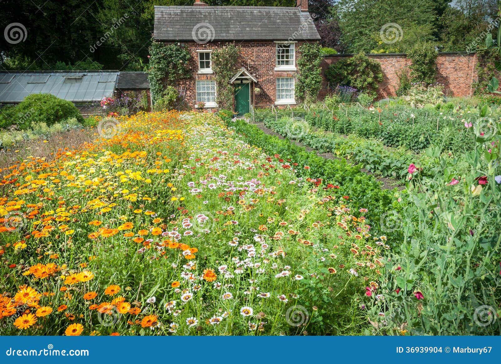 Cottage Garden Nursery Stock Photo Image Of Plant Produce 36939904