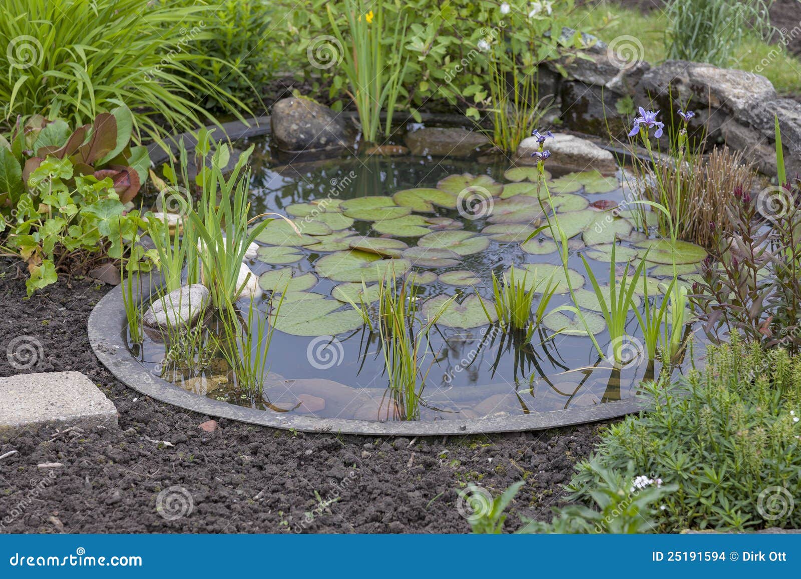 Cottage Garden With Pond Stock Photo Image Of Green 25191594