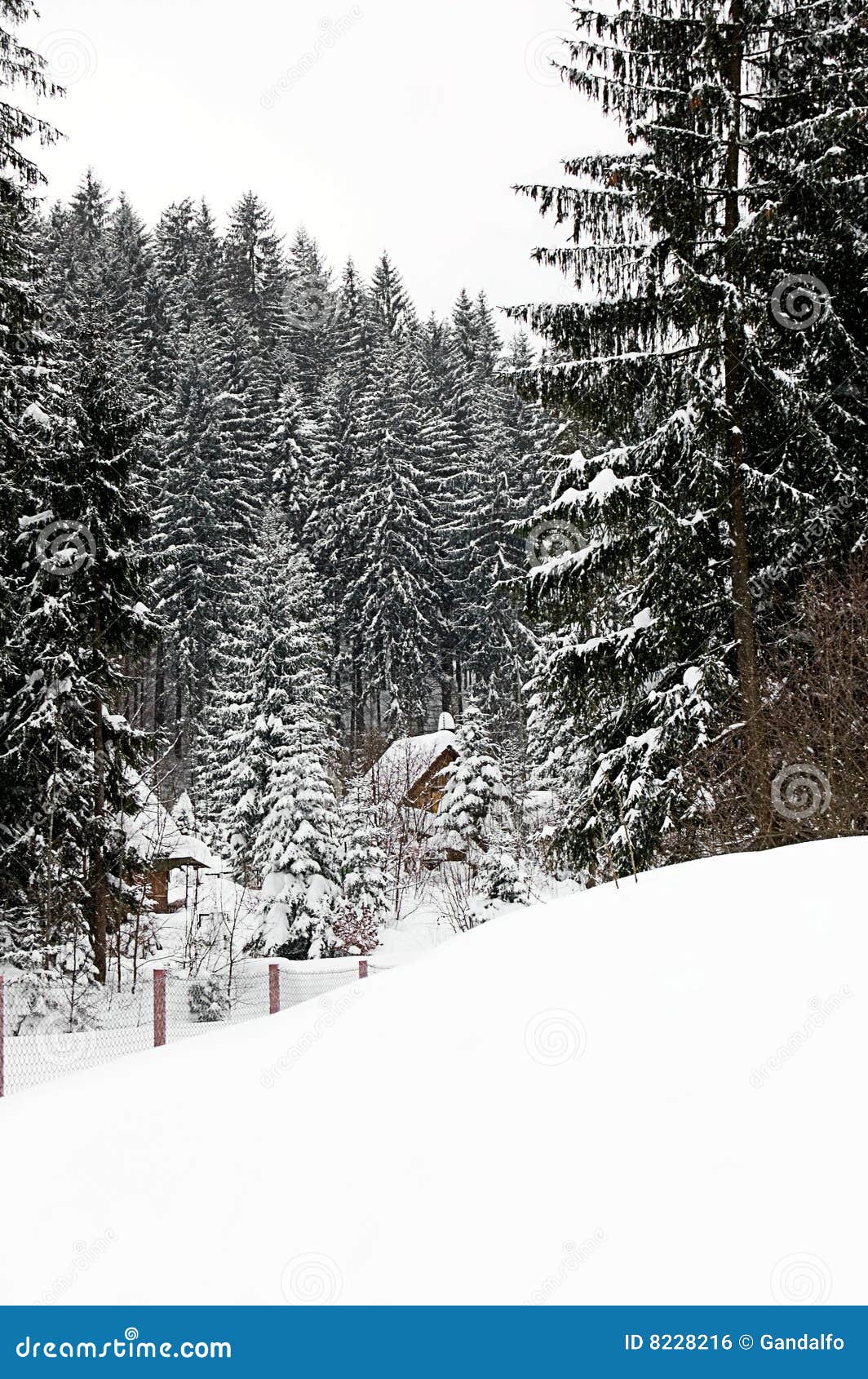Cottages in mountains stock photo. Image of forest, white 8228216