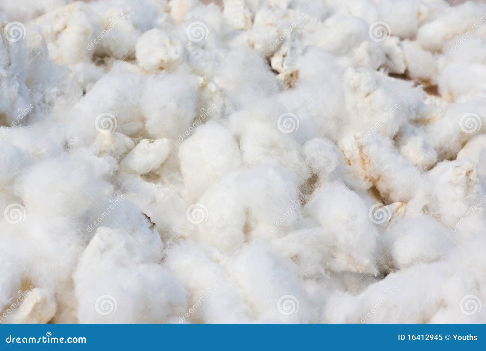 cotton background