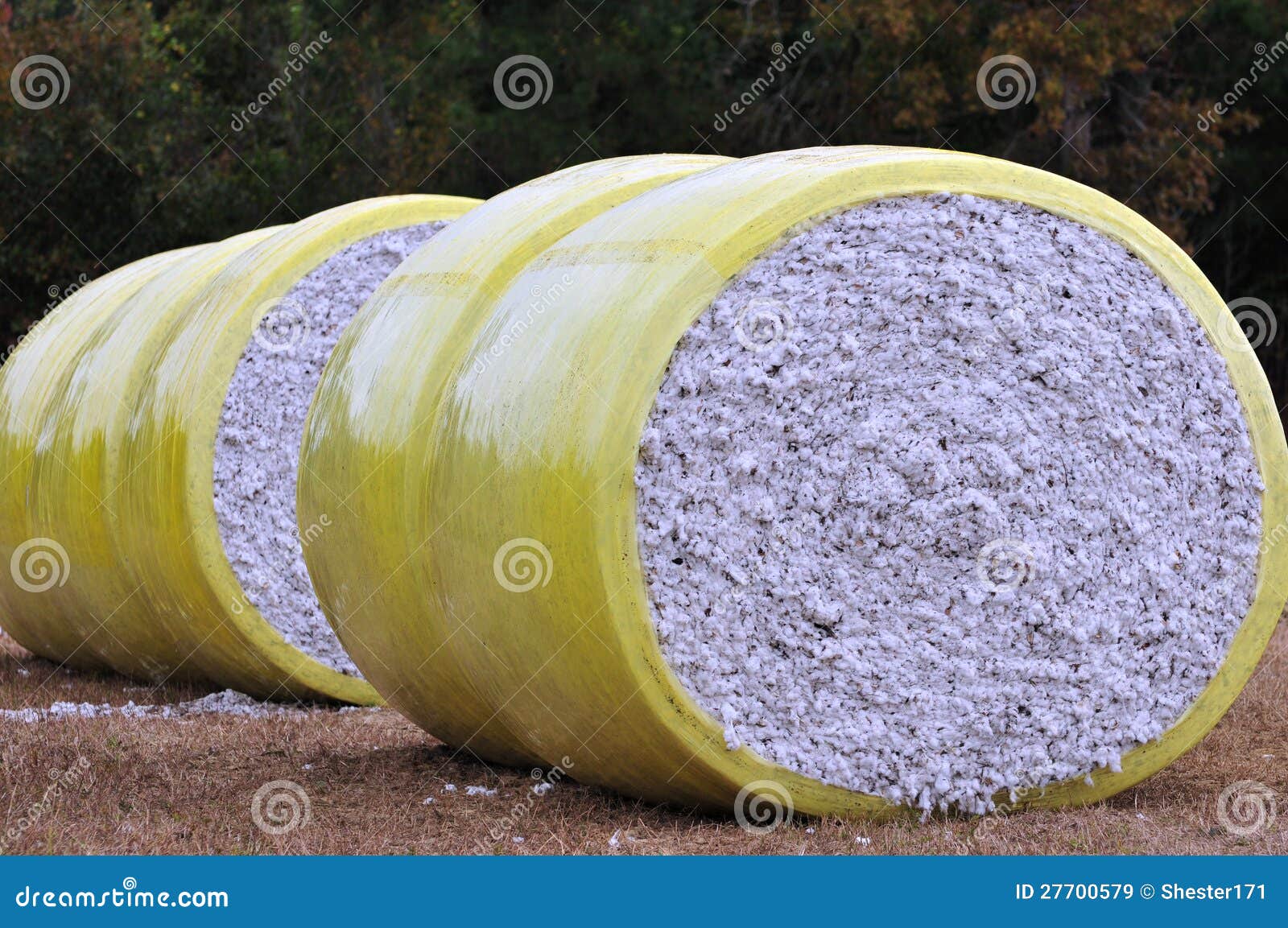 Cotton Bales stock image. Image of bales, industry, white 27700579