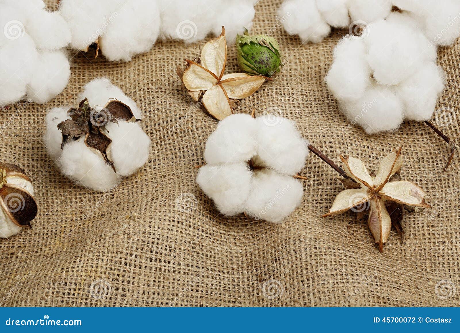 119+ Thousand Cotton Balls Royalty-Free Images, Stock Photos