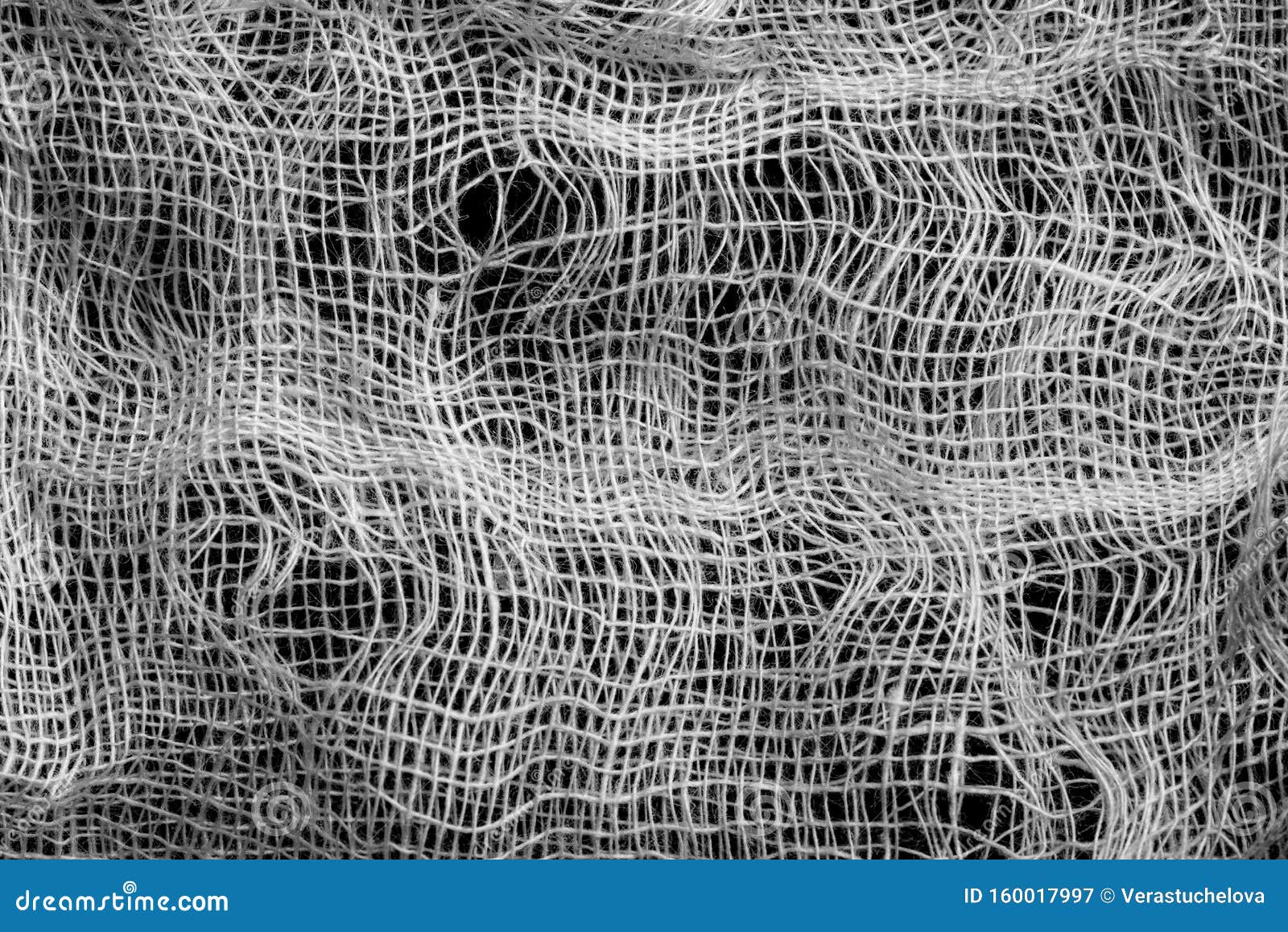 Cotton Fibers Under The Microscope Stock Photo ...