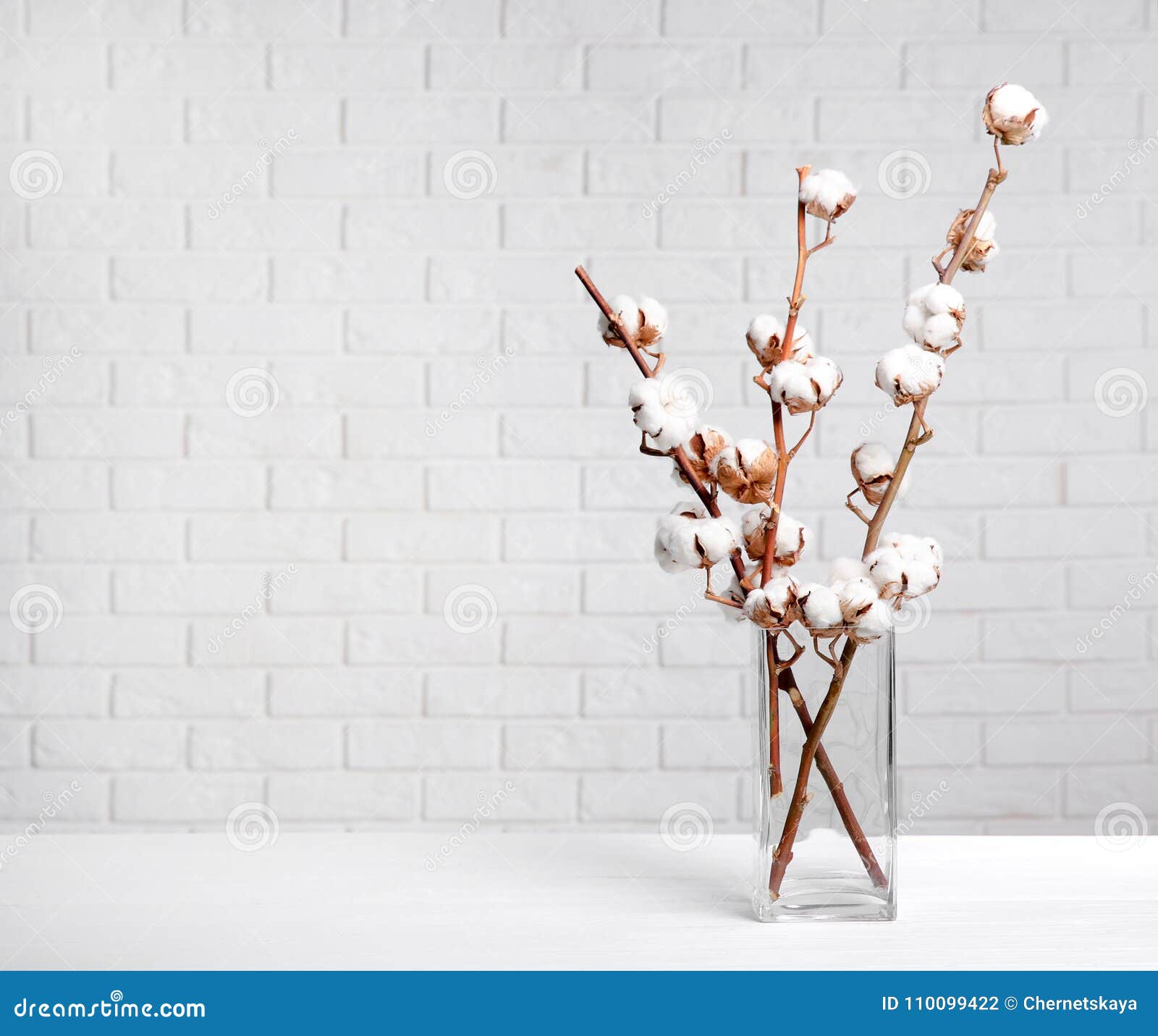 Cotton flowers in vase stock photo. Image of glass, nature 110099422