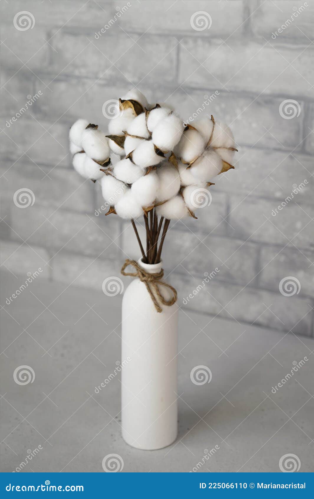 Cotton Flowers in Vase on a Table Stock Photo Image of white, petal