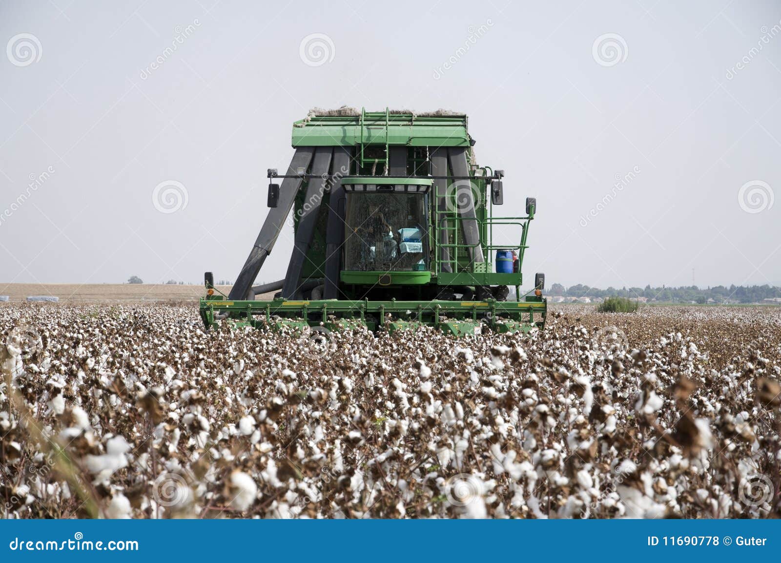 cotton picker