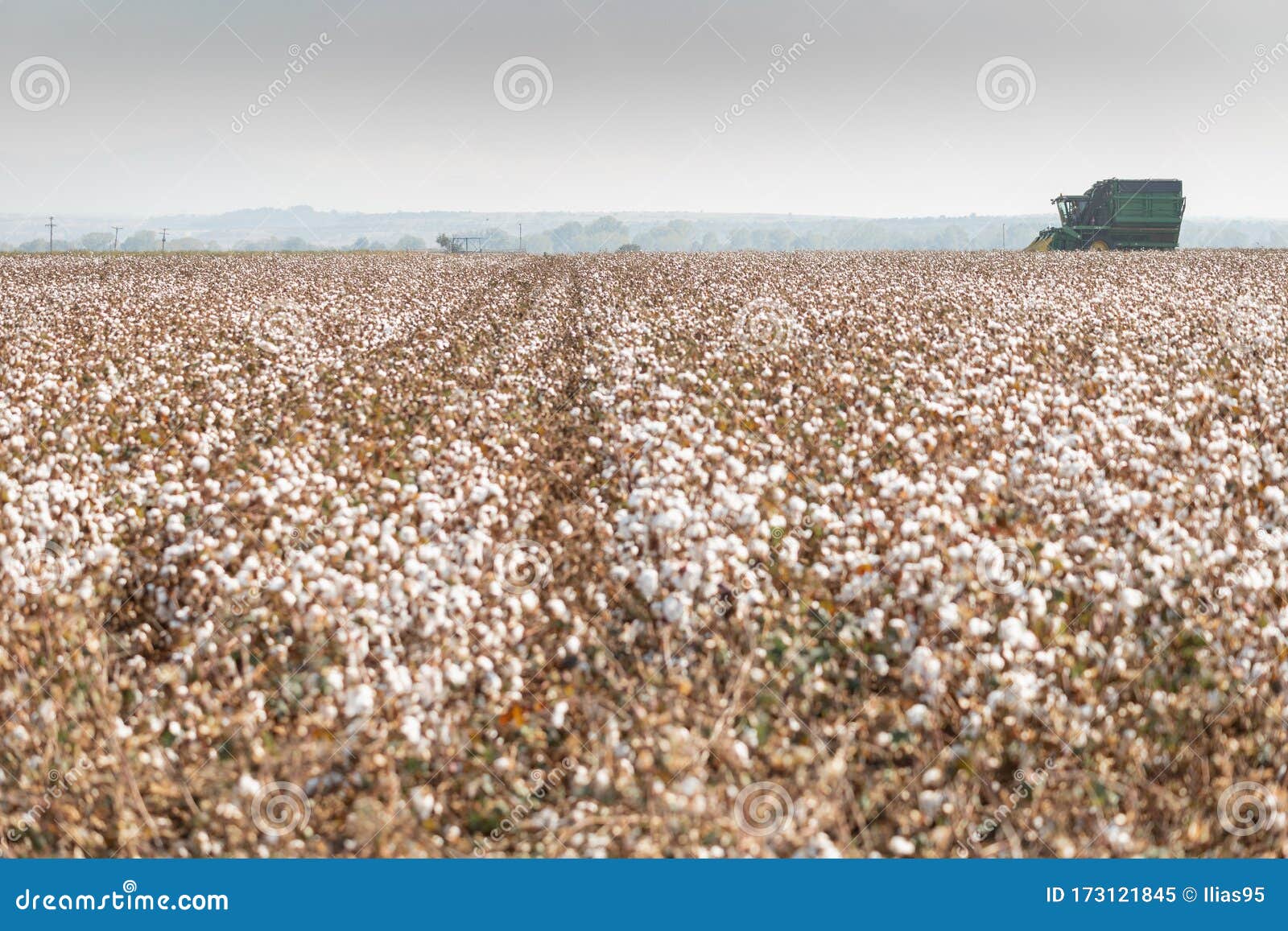 Cotton Picker