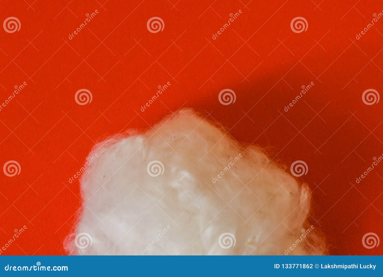Cotton Raw Material on Isolated Red Background Stock Photo Image of agriculture, macro 133771862