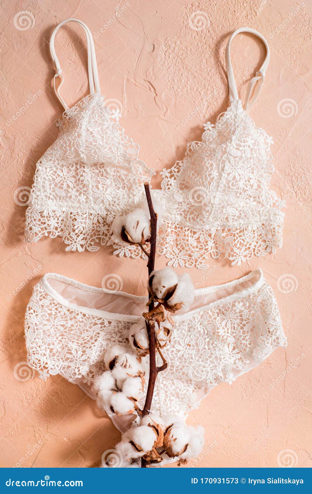 Cotton Striped Panties and White Bra. Women S Lingerie on the Concrete  Background. Top View Shot of Fashionable Women S Underwea Stock Image -  Image of cloth, branch: 170931573