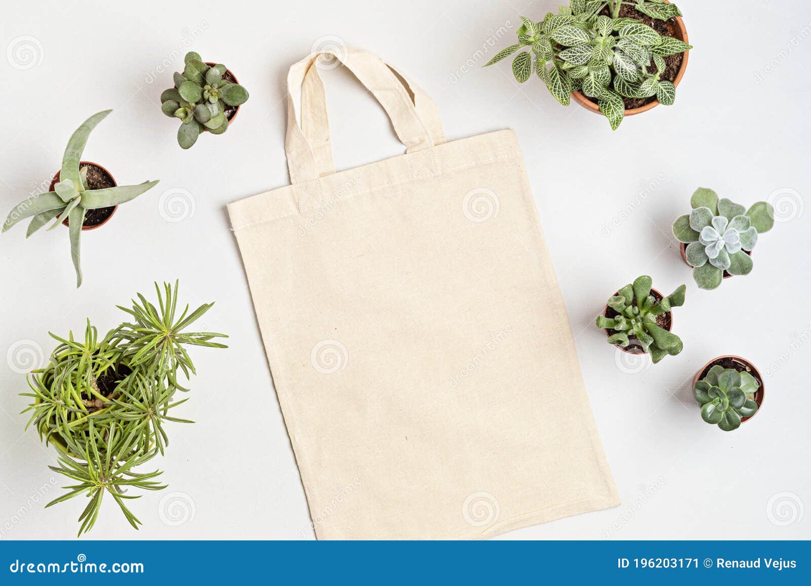 Download Cotton Tote Bag Mockup. Zero Waste Living, Sustainability ...