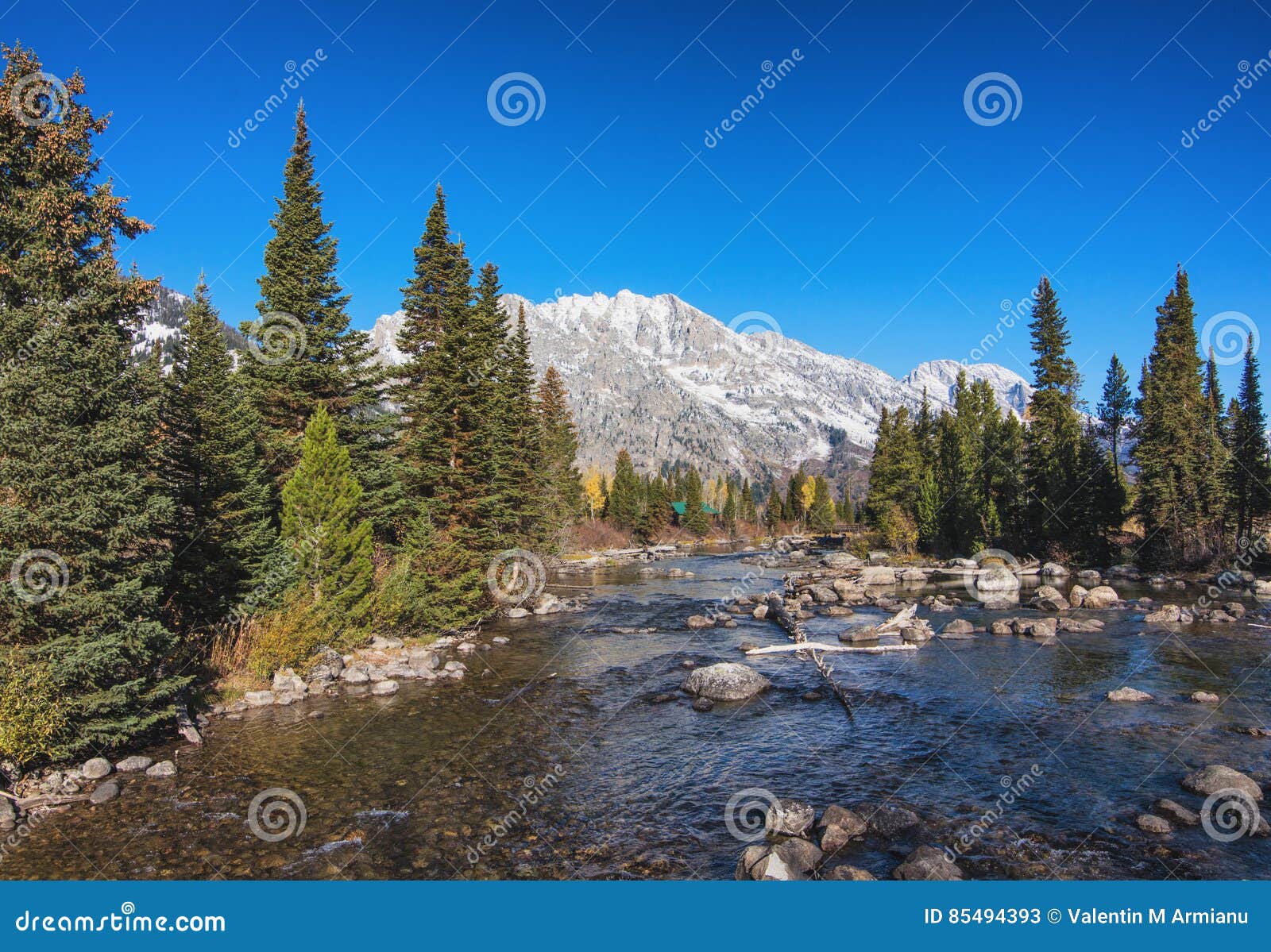 cottonwood creek in grand teton national park, wyoming