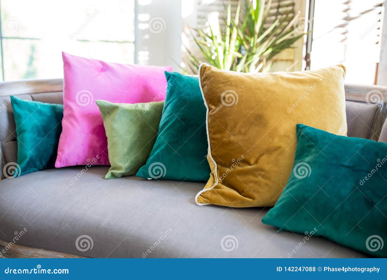 assorted throw pillows