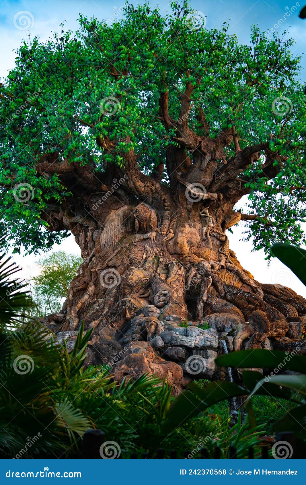 L'oiseau de Là Haut arrive à Disney's Animal Kingdom