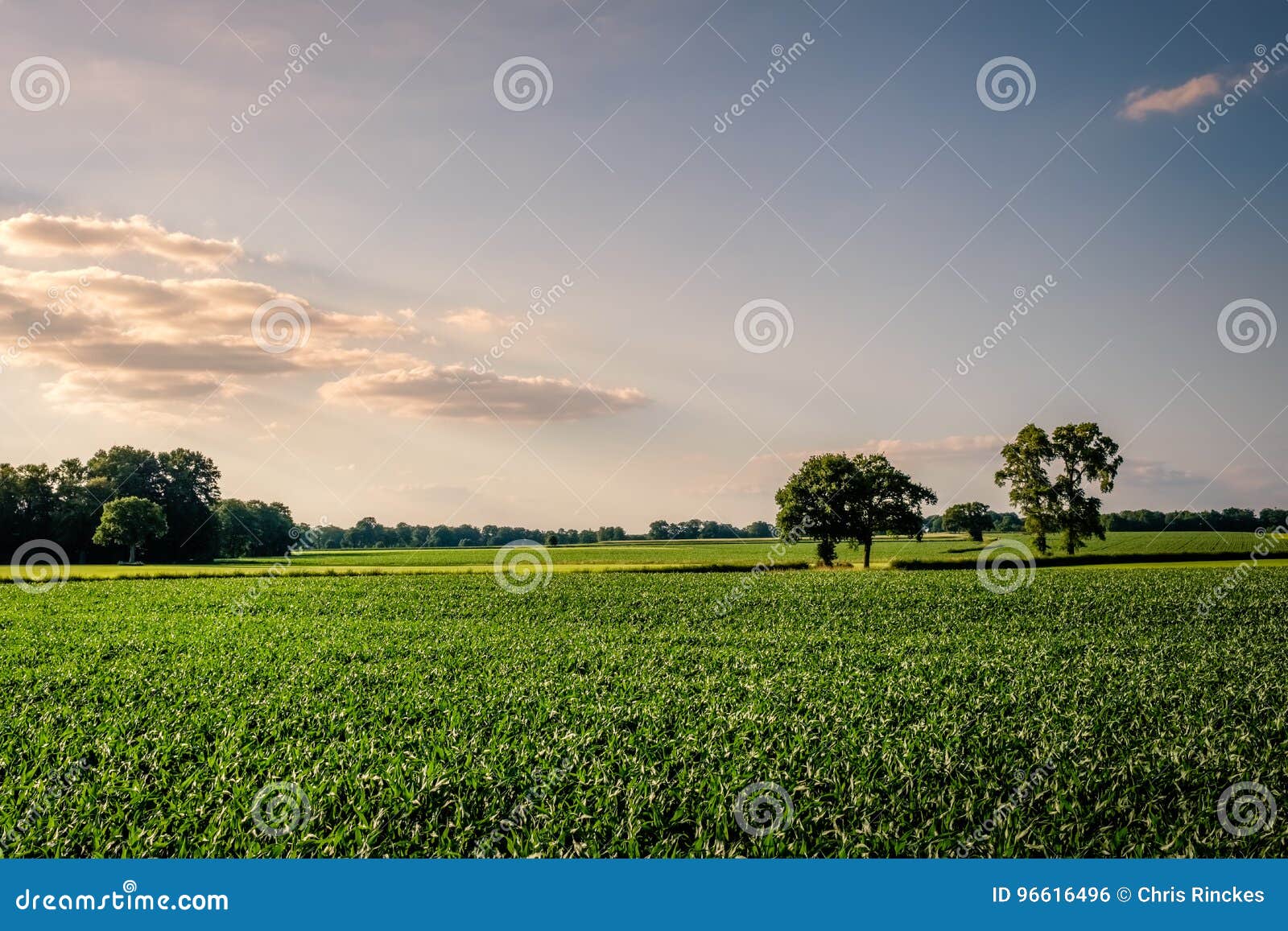 Coucher Du Soleil à Un Paysage Néerlandais Typique Twente