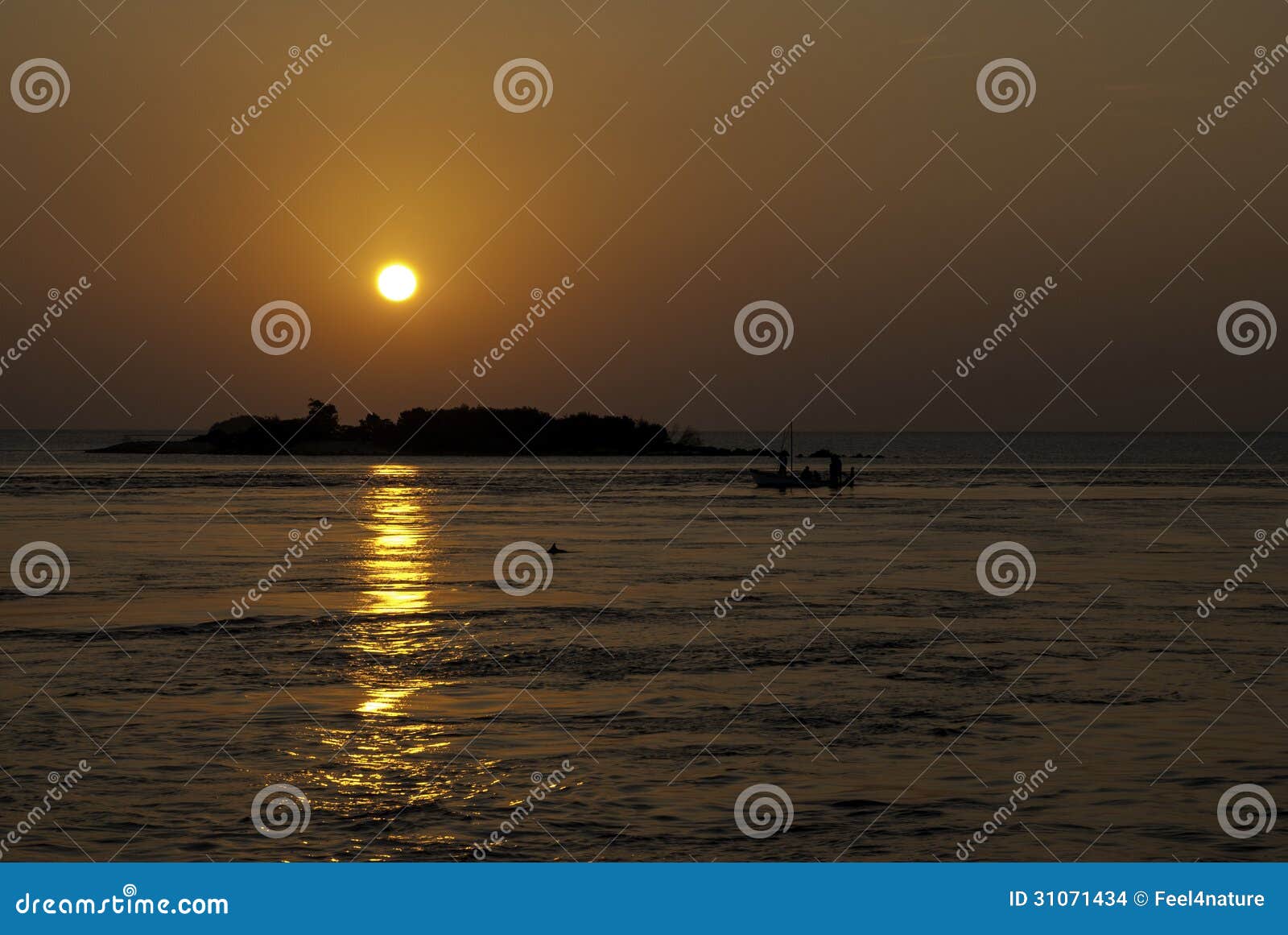 Coucher Du Soleil Avec Le Dauphin Chez Les Maldives Photo