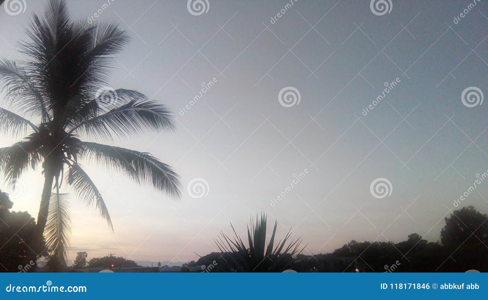 Coucher du soleil dans des cairns avec la paume. Coucher du soleil dans des cairns, Queensland, Australie