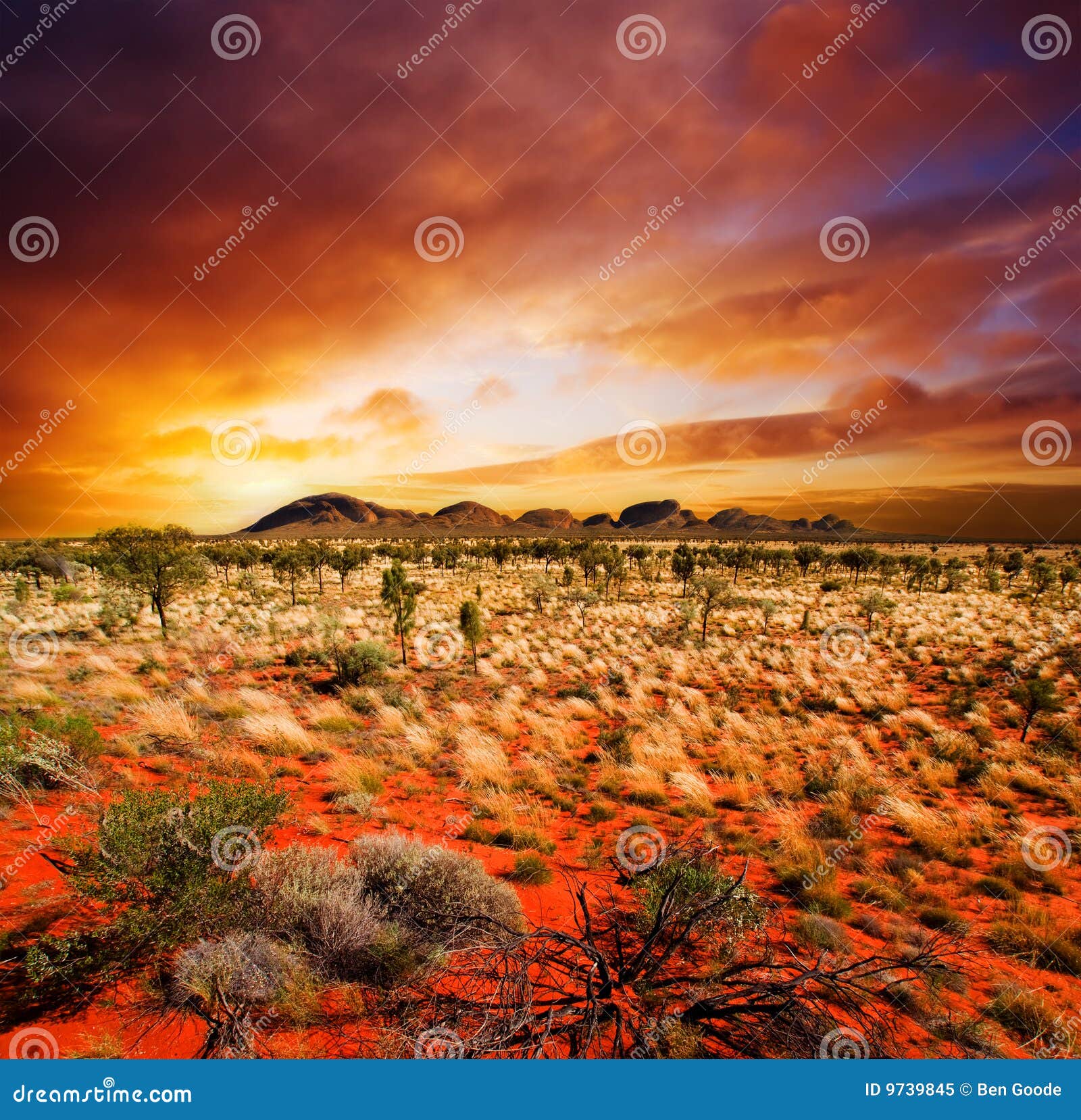 Coucher Du Soleil De Désert De Beauté Image Stock Image Du