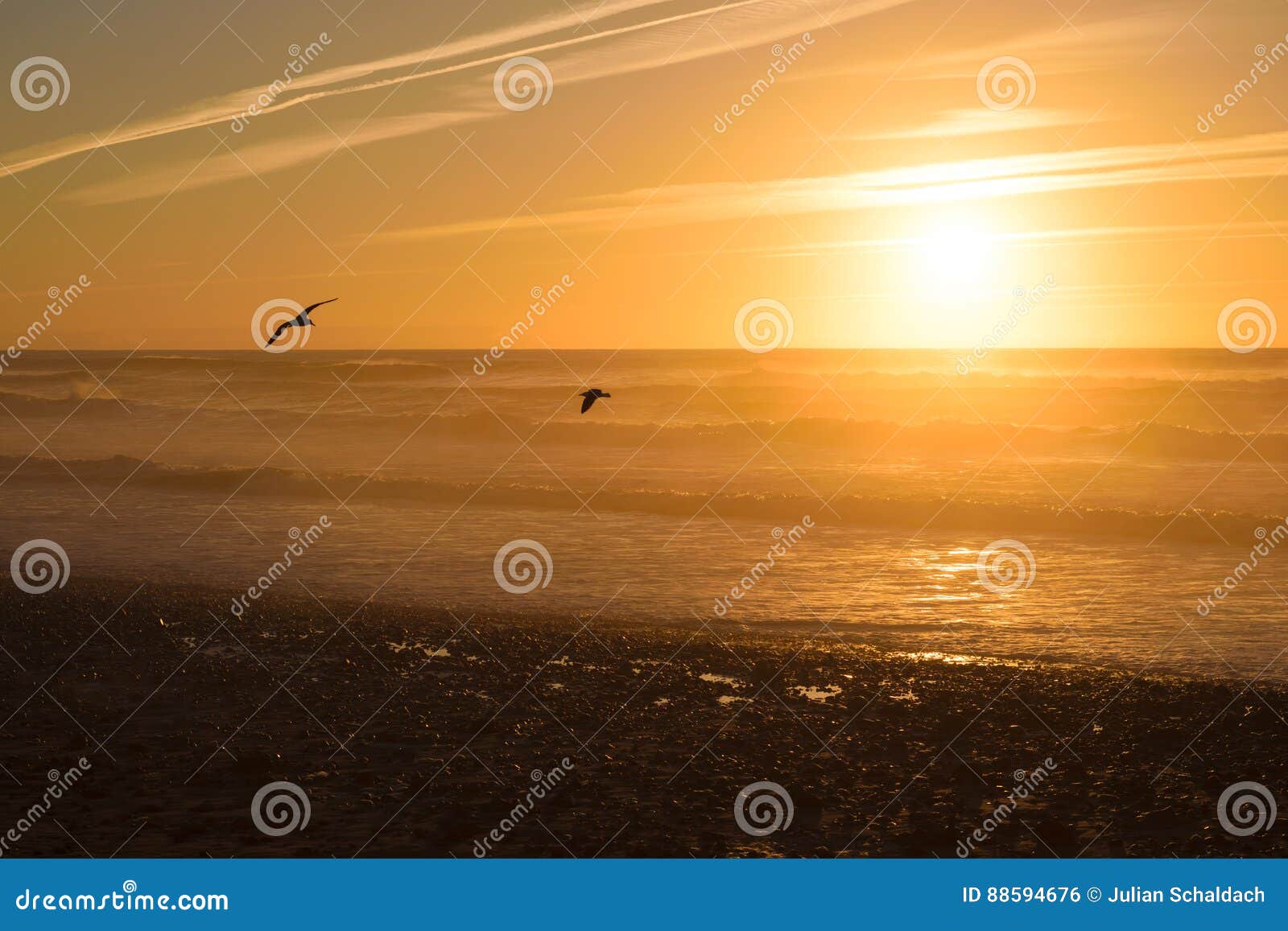 Coucher Du Soleil Et Oiseaux à La Plage Maroc Photo Stock