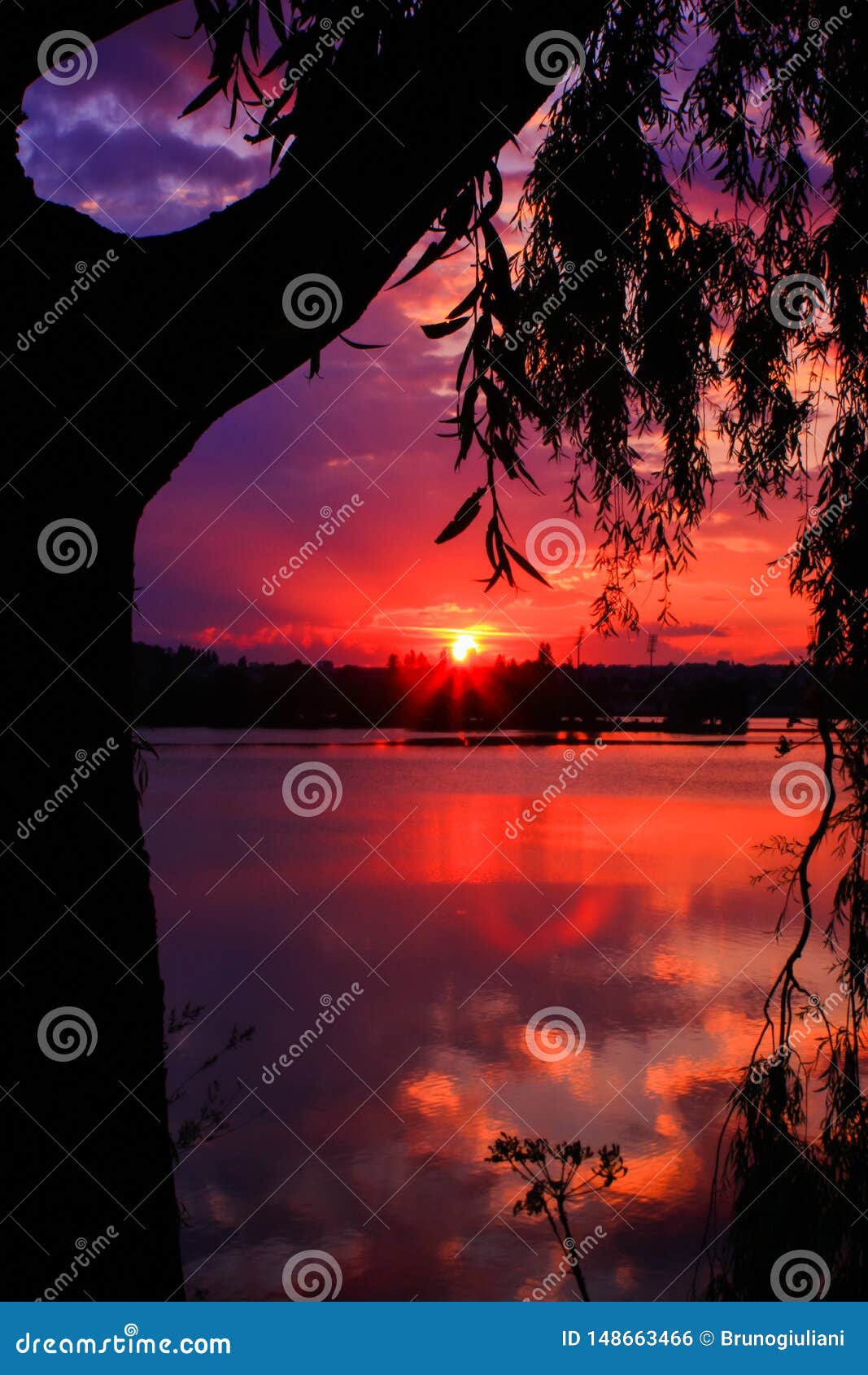 Coucher Du Soleil Romantique Et Tropical Au Dessus De La Mer