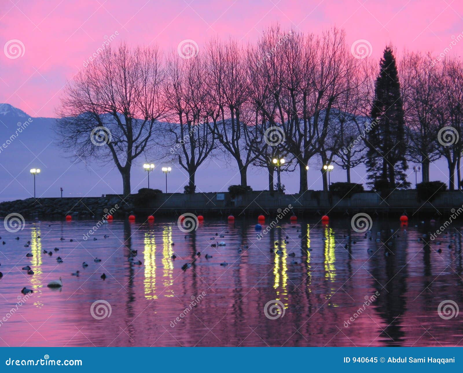 Coucher Du Soleil Sur Le Lac Genève 1 Image Stock Image Du