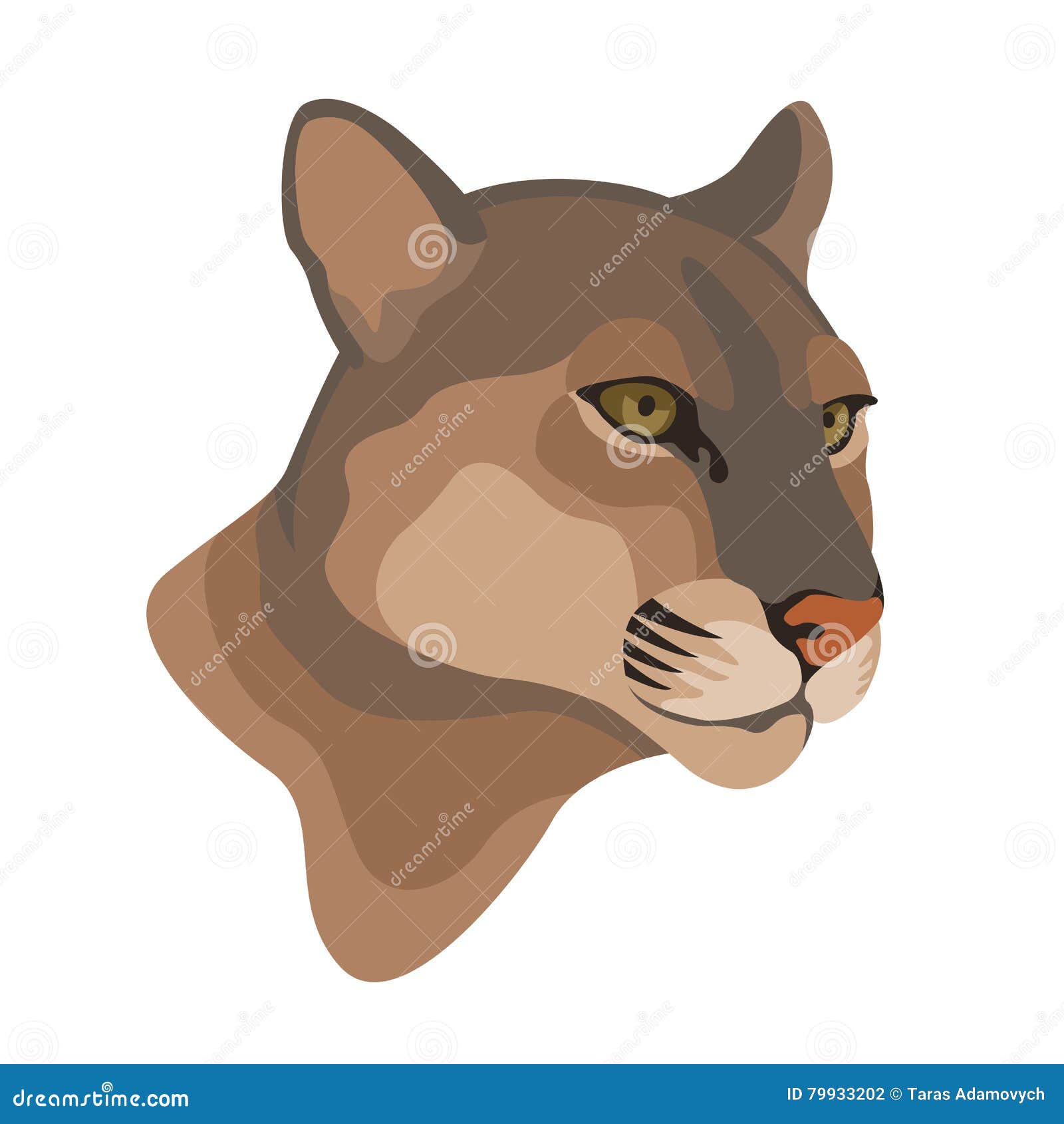 Mountain Lion Cartoon Vector 37952411