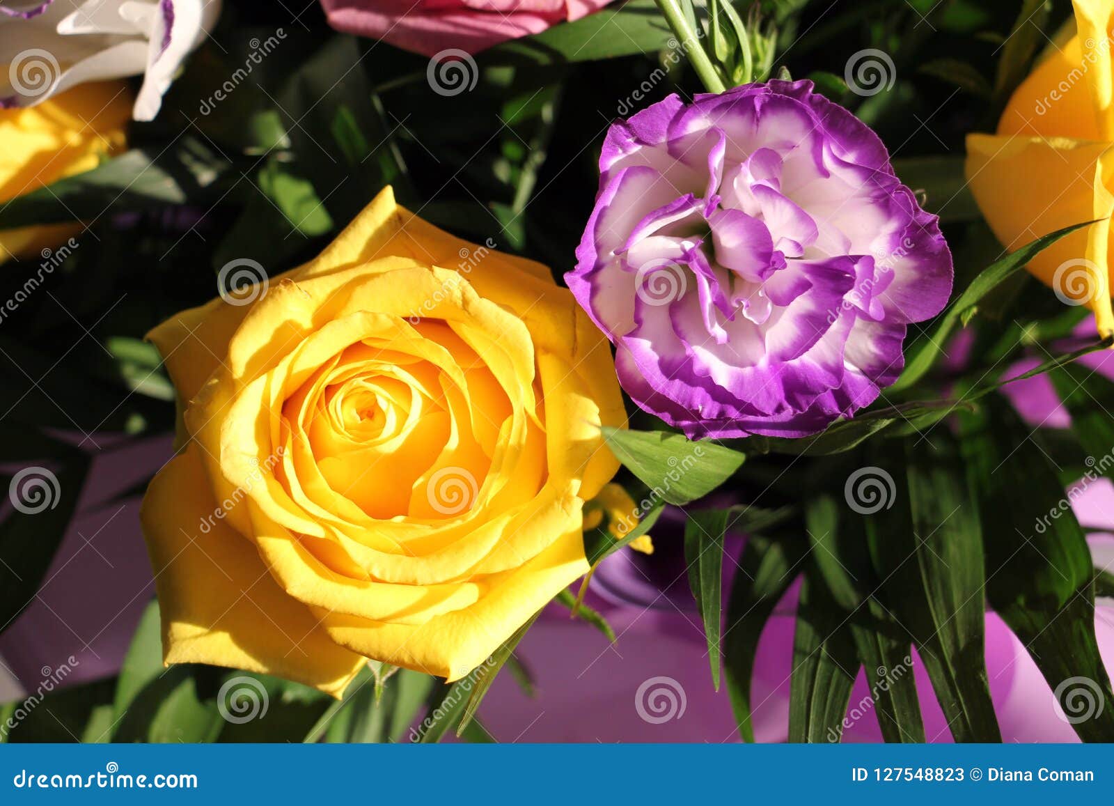 Couleurs De Fleurs - Jaune Et Mauve Image stock - Image du jaune, groupe:  127548823